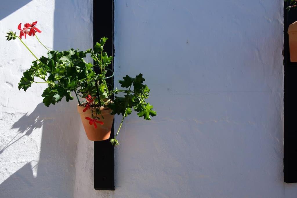 Finca Martina Apartment Casarabonela Exterior photo